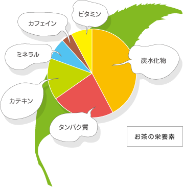 お茶の栄養素