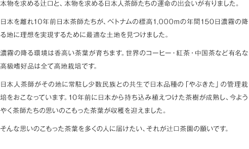 本物を求める辻口と、本物を求める日本人茶師たちの運命の出会いが有りました。
日本を離れ10年前日本茶師たちが、ベトナムの標高1,000mの年間150日濃霧の降る地に理想を実現するために最適な土地を見つけました。
濃霧の降る環境は香高い茶葉が育ちます。世界のコーヒー・紅茶・中国茶など有名な高級嗜好品は全て高地栽培です。
日本人茶師がその地に常駐し少数民族との共生で日本品種の「やぶきた」の管理栽培をおこなっています。10年前に日本から持ち込み植えつけた茶樹が成熟し、今ようやく茶師たちの思いのこもった茶葉が収穫を迎えました。
そんな思いのこもった茶葉を多くの人に届けたい、それが辻口茶園の願いです。