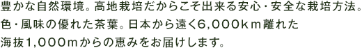 豊かな自然環境。高地栽培だからこそ出来る安心・安全な栽培方法。色・風味の優れた茶葉。日本から遠く6,000km離れた海抜1,000mからの恵みをお届けします。