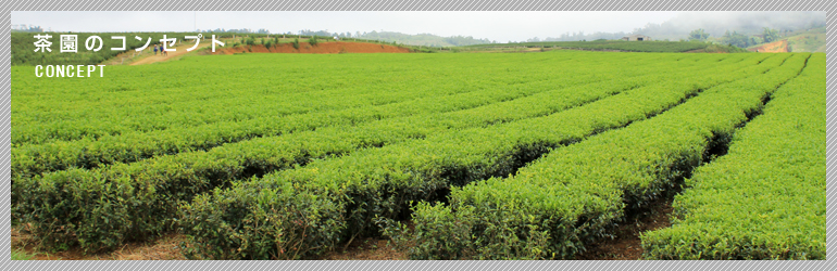 茶園のコンセプト