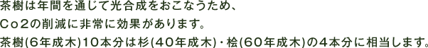 茶樹は年間を通じて光合成をおこなうため、Co2の削減に非常に効果があります。茶樹(6年成木)10本分は杉(40年成木)・桧(60年成木)の4本分に相当します.

