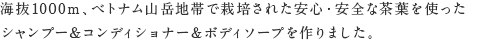 海抜1000m、ベトナム山岳地帯で栽培された安心・安全な茶葉を使ったシャンプー＆コンディショナー＆ボディーソープを作りました。