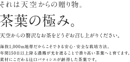 それは天空からの贈り物。茶葉の極み。天空からの贅沢なお茶をどうぞお召し上がりください。 海抜1,000m地帯だからこそできる農薬無散布栽培。 年間150日以上降る濃霧が光をさえりることで香り高い茶葉へと育てます。 素材にこだわる辻口パティシエが納得した茶葉です。