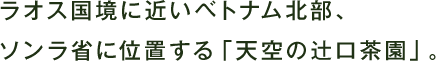 ラオス国境に近いベトナム北部、ソンラ省に位置する｢天空の辻口茶園｣